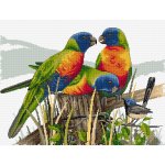 (image for) Lots of Lorikeets